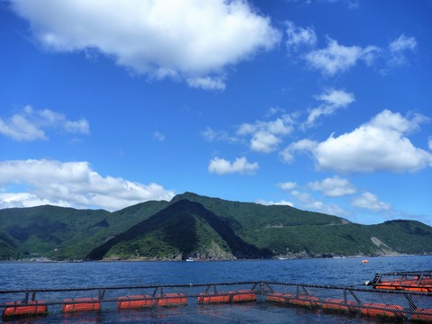 P1050788