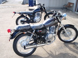 3035b3c8-s.JPG