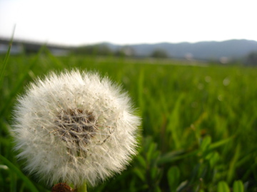 28a344a0.jpg