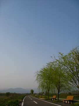 29365c62.jpg
