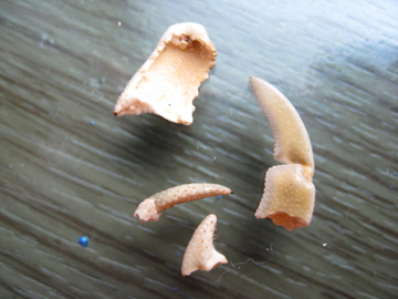 2f8e5132.jpg
