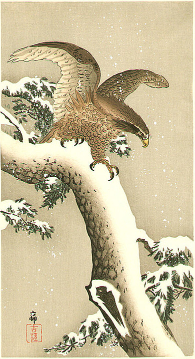 雪の松に鷲｜雪の梅に雀｜小原古邨展＠太田記念美術館 : クラシック