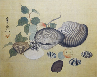 鈴木其一： 夏秋渓流図屏風、貝図｜奇想の系譜展 : クラシック音楽とアート