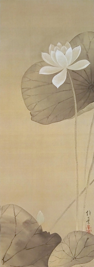 酒井抱一: 白蓮図|つながるモチーフ/イメージ|「名作誕生 酒井抱一: 白蓮図|つながるモチーフ/イメージ|「名作誕生