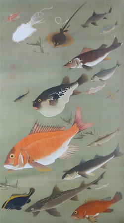 動植綵絵 諸魚図と群魚図|生誕300年 若冲の水族館 : クラシック 動植綵絵 諸魚図と群魚図|生誕300年 若冲の水族館 : クラシック