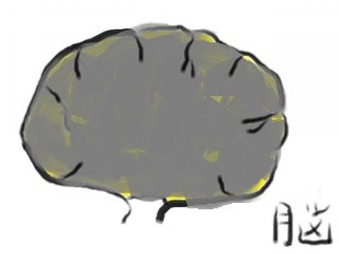 うつ病の脳 うつ病