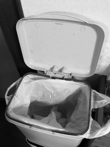 ゴミ箱 台所 便器
