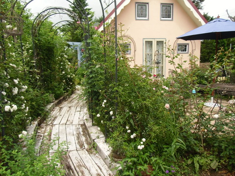 CIMG0388