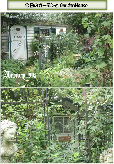 Gardenハウス今日のガーデンと
