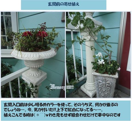 玄関入口の寄せ植え