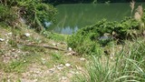IMG_20170520_122301