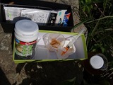 tanago (7)