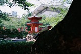 FH000022