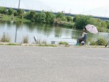 tanago (4)