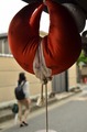DSC_5386