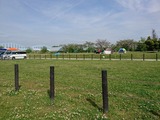 tanago (2)