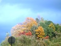 DSC03601