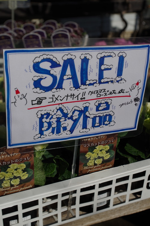 IMGP0315