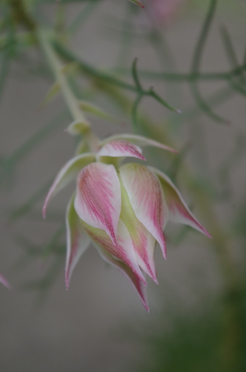 IMGP0358