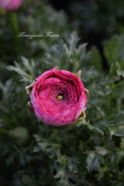 DSC_1380