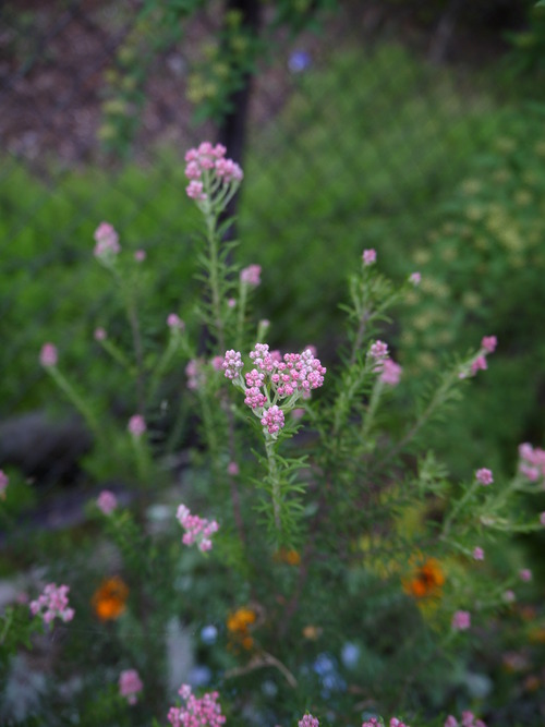 P1490589