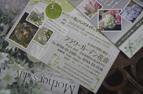 IMGP5980