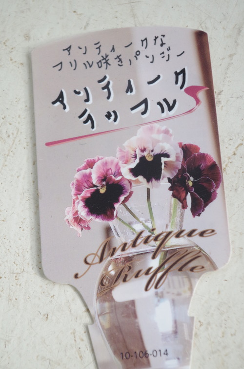 IMGP9484