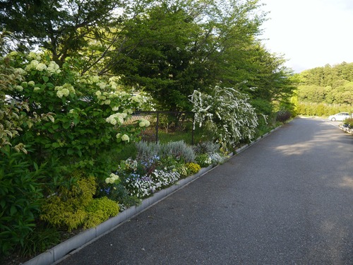 P1500139