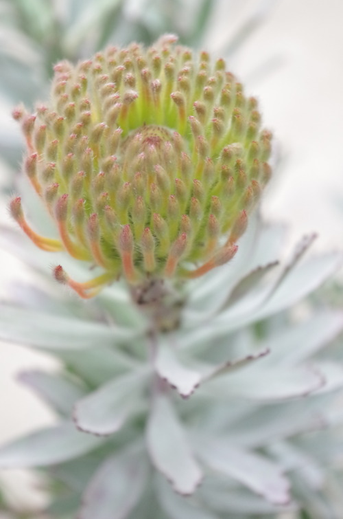 IMGP5879