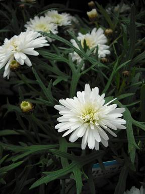 b7d35e94.jpg