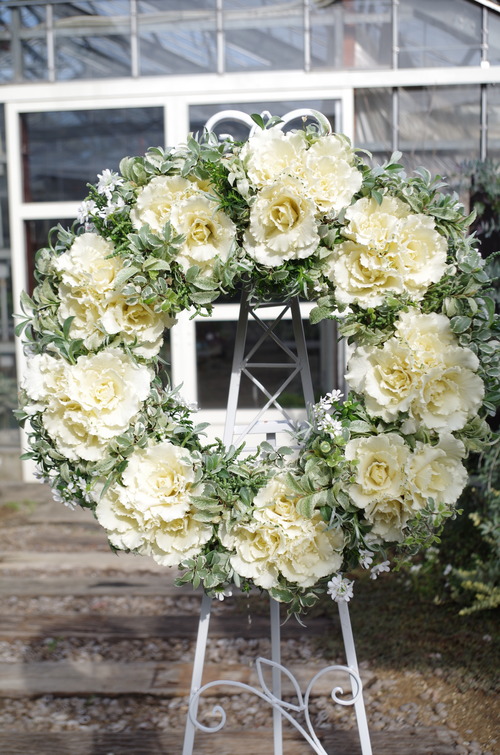 IMGP9686