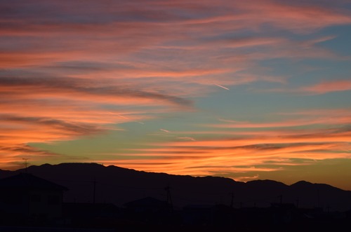 DSC_7645