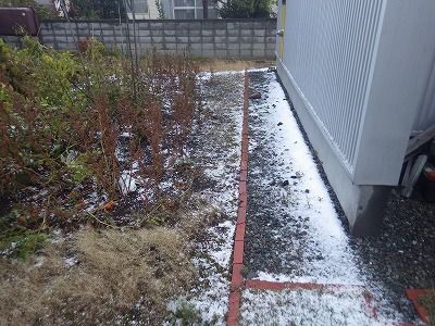 2015年10月25日004