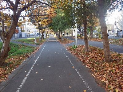 2014年11月08日027