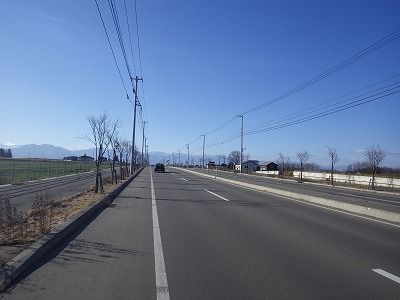 IMGP1855