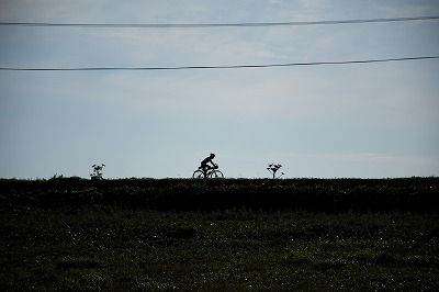 DSC_0262