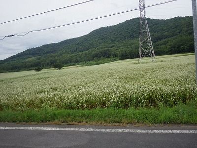 2014年08月10日041