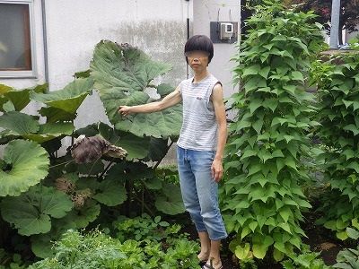 2018年08月11日001