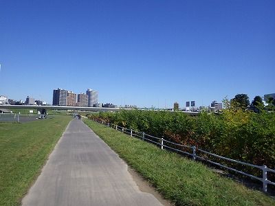2014年10月19日007