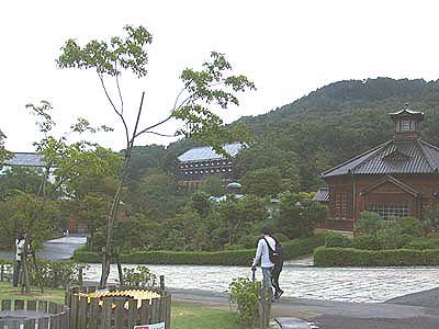 9baa9743.jpg