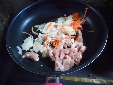 DSCN6102
