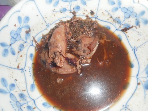 DSCN5472