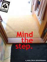 mind the step.