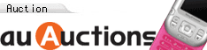 au auction/a_store_flavor