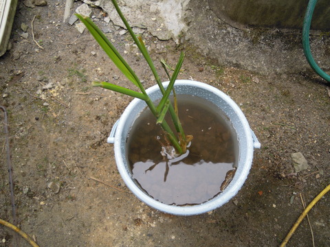 DSCN5774