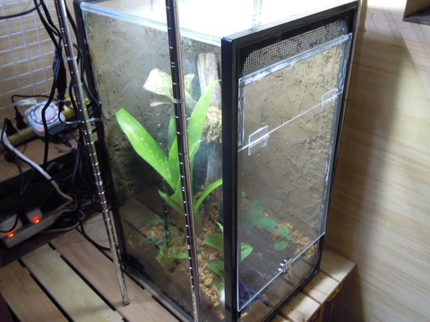 DSCN8202