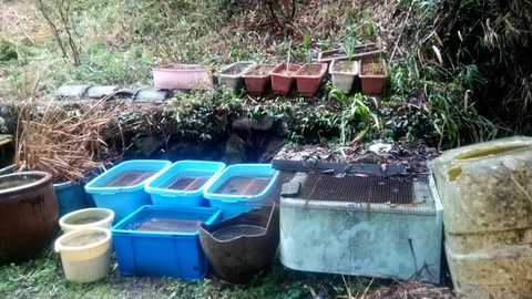 20160401_133946553