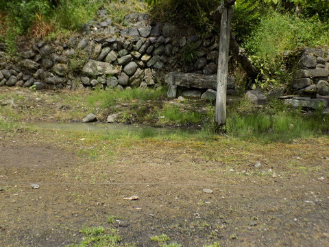 DSCN0205