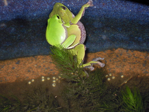 DSCN5781