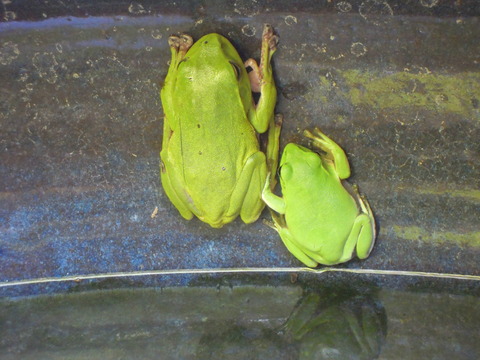 DSCN5828